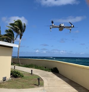 Drone Flight Training